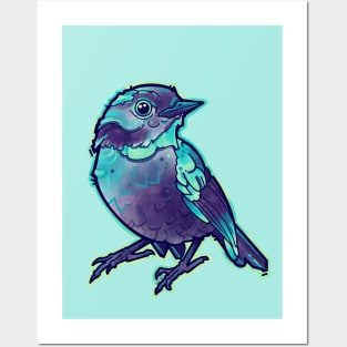 aqua blue little cute bird Posters and Art